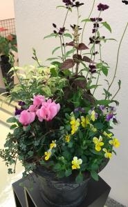 寄せ植え♪｜「フラワーショップアカシ」　（福岡県久留米市の花キューピット加盟店 花屋）のブログ