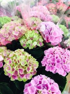母の日にはお花をどうぞ｜「フラワーショップアカシ」　（福岡県久留米市の花キューピット加盟店 花屋）のブログ